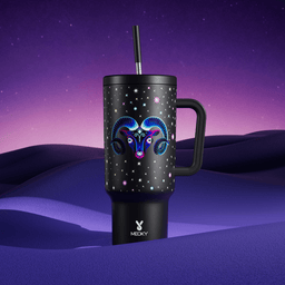 40oz Tumbler With Straw Zodiac Collection