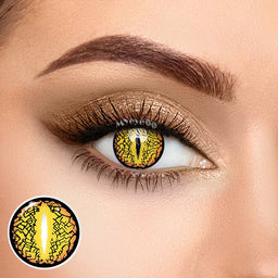 MYEYEBB Blind Lizard Eye Brown Cosplay Contact Lenses