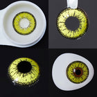 MYEYEBB Snow Cosplay Colored Contact Lenses for All Eyes