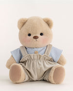 Brown Bear With Outfit